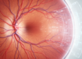 Flicker Light Test and Machine Learning Estimate Age from Retinal Vessels
