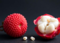 Lychee Seed Extract Shows Promise for Healing Oral Wounds in Lab Study