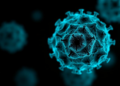 Sonrotoclax plus azacitidine induces remission in acute undifferentiated leukemia case