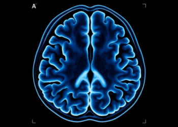 CT Scans Reveal First Brain Ventricular Norms for Healthy Bangladeshi Adults