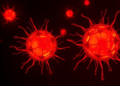 Ginsenoside RK3 triggers ferroptosis in osteosarcoma cells and boosts doxorubicin response