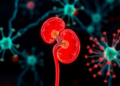 Machine Learning Hunt Uncovers Three Molecular Culprits Behind Toxic Herb Kidney Disease