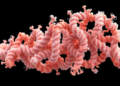 Mechanochemical unfolding facilitates protein-glutaminase deamidation and charge remodeling of myofibrillar protein to reduce low-salt-induced aggregation tendency