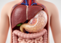 Pediatric hydatid cyst mimicked a pancreatic pseudocyst in case report