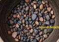 Lead Chelation Therapy Drains Zinc and Selenium in Occupationally Exposed Workers