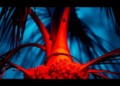 Infrared Light Could Slash the Cost of Diagnosing Oil Palm Nutrition