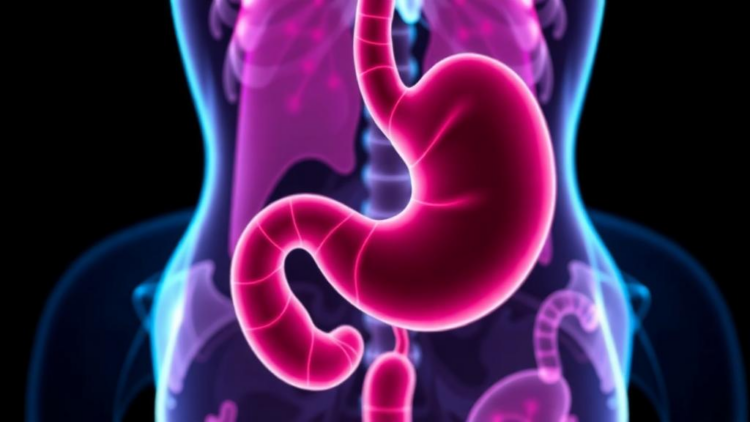 Older Age and Persistent H. pylori Infection Raise Odds of New Stomach Tumors After Curative Endoscopic Removal of Early Gastric Cancer