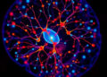 Esketamine steers microglia away from inflammatory state via NMDAR2A in cell study