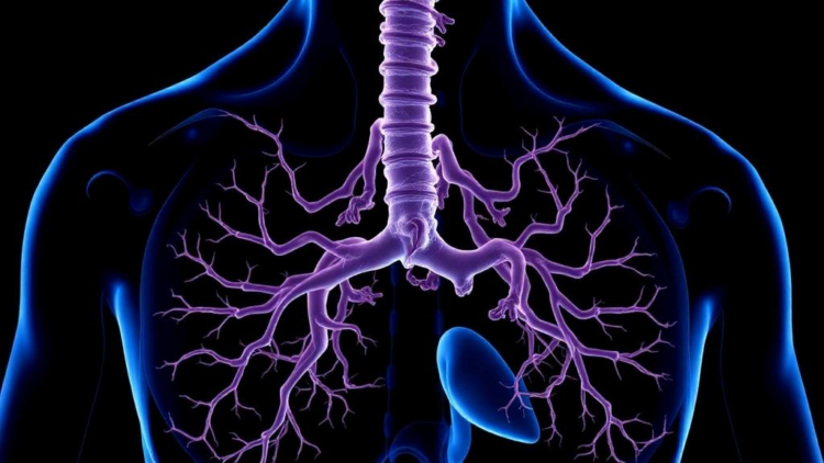 Lymph Node Status After Chemoimmunotherapy Predicts Survival in Esophageal Cancer