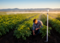 Graph-Based AI Model Predicts Potato Crop Water Needs with High Accuracy in Canada