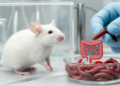 Ethanol-washed Eisenia boosts antioxidants and Akkermansia in mice