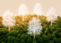AI paints fake forests to sharpen real forest image classification