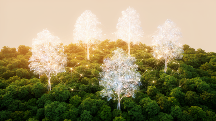 AI paints fake forests to sharpen real forest image classification