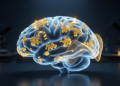 Amyloid biomarkers track sleep spindle changes in cognitively healthy older adults
