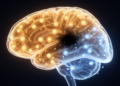 Partial Cell Reprogramming Shields Aging Mouse Brains from Ischemic Stroke Damage