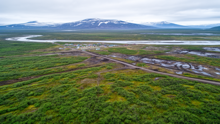 Human Disturbance Is Eroding Climate-Driven Greening Across the Arctic