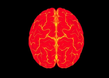 Childhood Cancer Survivors Face Fivefold Higher Risk of Later Brain Tumors, Population Study Finds
