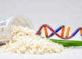 Thai Yoom Noon Rice Extracts Show Anti-Cancer and DNA-Protective Effects in Lab Tests