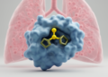 New Chalcone Compound B15 Eases Acute Lung Injury in Mice by Blocking p38 MAPK Signaling