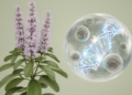 Computational Survey Identifies 35 WRKY Transcription Factor Genes in Chia