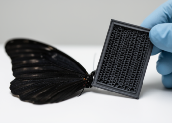 Butterfly wing-inspired printed metamaterial absorbs impacts, radar and noise