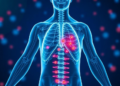 Whole-Body Computer Model Aims to Pinpoint the Best Way to Vaccinate Each Cancer Patient