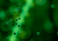 Oleic Acid Blend Selectively Suppresses Vaginal Pathogens While Sparing Key Beneficial Bacterium