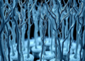 AI Discovers Multiple Growth Recipes That Build Identical Carbon Nanotube Forests