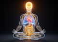 Your Heart, Lungs and Gut Help Shape Memory, Consciousness and Decisions