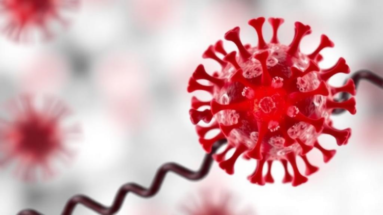Immune Enzyme PTPN2 Emerges as Master Switch in Sepsis Inflammation