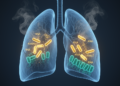 Smoke lowers RNA methylation enzyme WTAP, stabilizing pIgR to curb lung inflammation in mice
