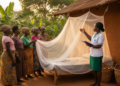 Malaria messages linked to net use, not knowledge mediation in Ugandan women