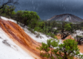 Extreme rainfall remobilizes mining tailings metals and stresses coastal Restinga plants