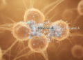 Kurarinol A inhibits activated stellate cells through MyD88 in preclinical study