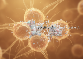 Kurarinol A inhibits activated stellate cells through MyD88 in preclinical study