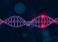 Tinnitus May Signal Inherited Hearing Loss Gene, Chinese Study Finds
