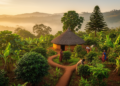 Ethiopian Homestead Gardens Shelter 45 Woody Species, Most of Them Native