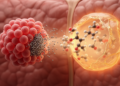 Preclinical natural products target ferroptosis defenses in liver cancer