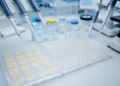 SGLT2 inhibitor oncology research expands as clinical proof remains uneven