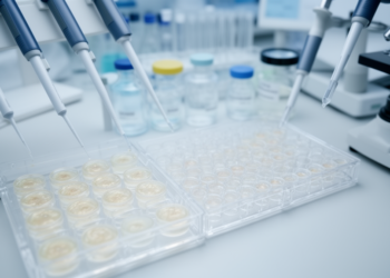 SGLT2 inhibitor oncology research expands as clinical proof remains uneven