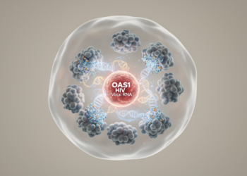 Review links OAS1 regulation to HIV restriction and persistence