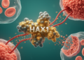 HAX1 review highlights context-dependent roles in cancer progression
