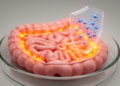 Blocking AHR signaling curbs IL-8 in lab model of gut inflammation