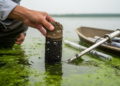 Eutrophication Boosts Anammox in Eastern China Plain Lake Sediments