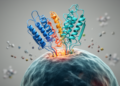 New dataset and protein language models sharpen T cell receptor binding prediction