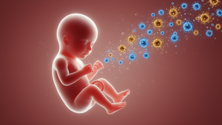 Bioengineering strategies expand the promise of prenatal therapy