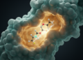 Engineered enzymes flip a molecular switch to control ester bond placement