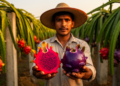 Three-Year Trial Crowns Vietnamese Red and Purple Dragon as Top Dragon Fruit Genotypes in Bangladesh Lowlands