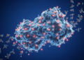 Massive Phosphoproteomics Sweep Maps the Hidden Regulatory Switches on a Key Metabolic Enzyme