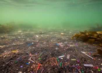Industrial microplastics blanket sediments of Swedish coastal archipelago
